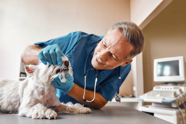 Best Emergency Wisdom Teeth Removal in Wooster, OH